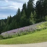 Σαλέ Klippitzhimmel *