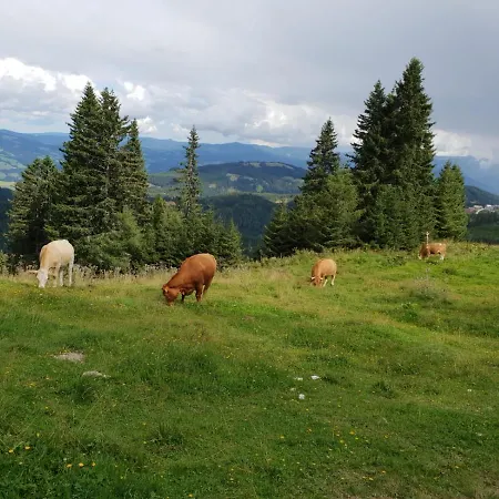 Klippitzhimmel Domek alpejski *
