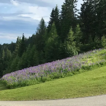 Alpehytte Klippitzhimmel *