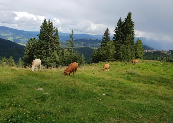 Klippitzhimmel Chalet *