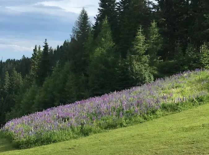Chalet Klippitzhimmel *